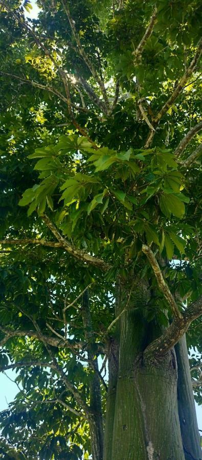 Casa Kukama Lodge Iquitos Eksteriør billede